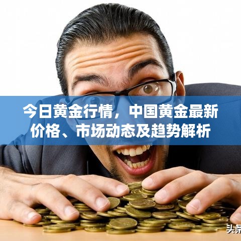 今日黄金行情，中国黄金最新价格、市场动态及趋势解析