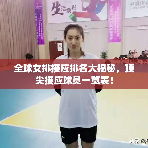 全球女排接应排名大揭秘，顶尖接应球员一览表！