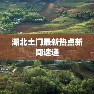 湖北土门最新热点新闻速递