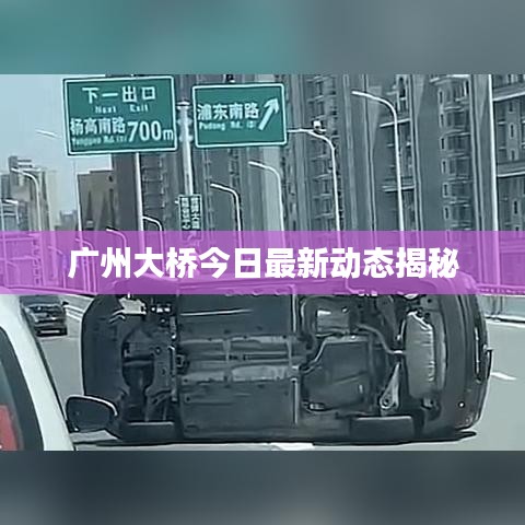 广州大桥今日最新动态揭秘