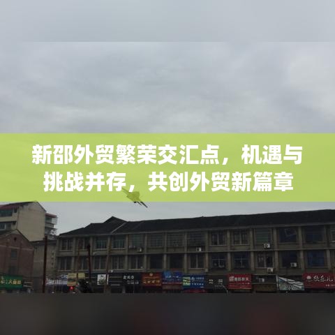 新邵外贸繁荣交汇点，机遇与挑战并存，共创外贸新篇章