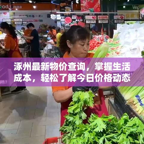 涿州最新物价查询，掌握生活成本，轻松了解今日价格动态！