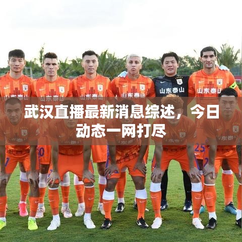 武汉直播最新消息综述，今日动态一网打尽