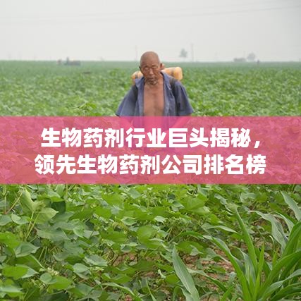 生物药剂行业巨头揭秘，领先生物药剂公司排名榜单！