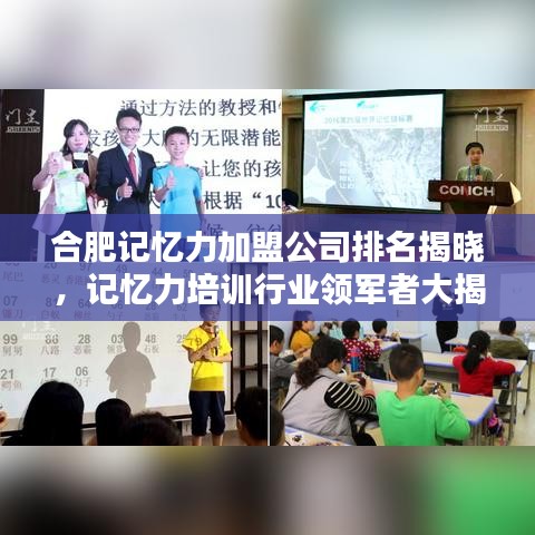 合肥记忆力加盟公司排名揭晓，记忆力培训行业领军者大揭秘！