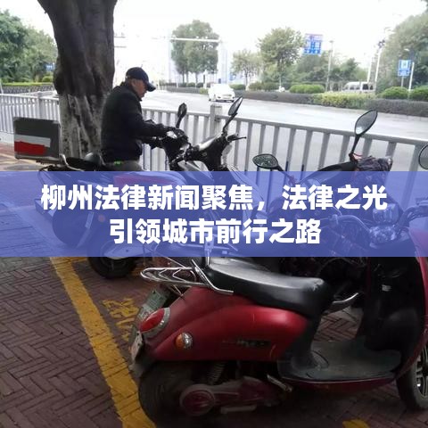 柳州法律新闻聚焦，法律之光引领城市前行之路