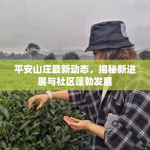 平安山庄最新动态，揭秘新进展与社区蓬勃发展