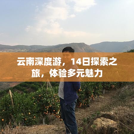 云南深度游，14日探索之旅，体验多元魅力