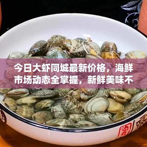 今日大虾同城最新价格，海鲜市场动态全掌握，新鲜美味不容错过