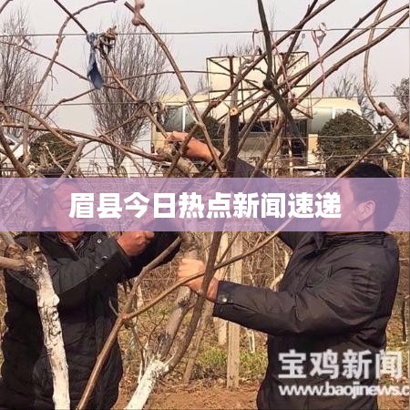眉县今日热点新闻速递