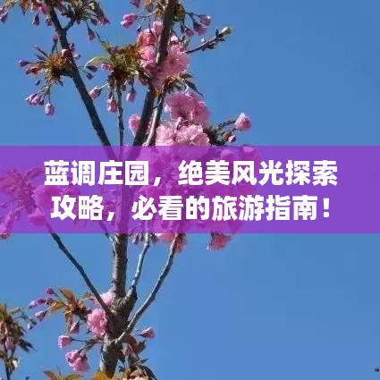 蓝调庄园，绝美风光探索攻略，必看的旅游指南！