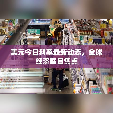 美元今日利率最新动态，全球经济瞩目焦点