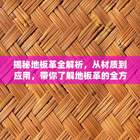 揭秘地板革全解析，从材质到应用，带你了解地板革的全方位知识