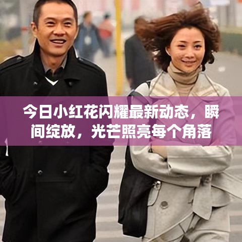 今日小红花闪耀最新动态，瞬间绽放，光芒照亮每个角落