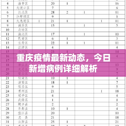 重庆疫情最新动态，今日新增病例详细解析