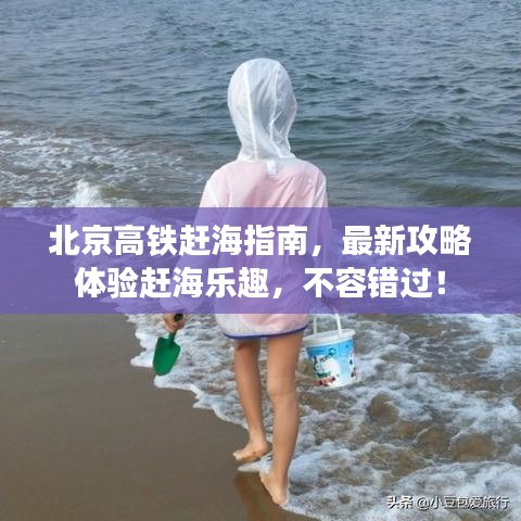北京高铁赶海指南，最新攻略体验赶海乐趣，不容错过！