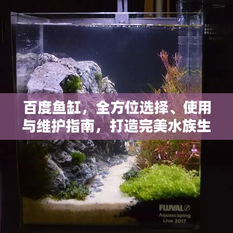 百度鱼缸，全方位选择、使用与维护指南，打造完美水族生活