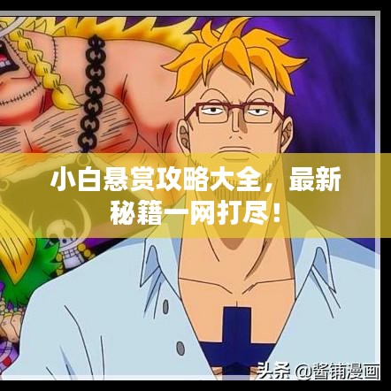 小白悬赏攻略大全，最新秘籍一网打尽！