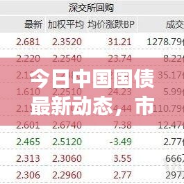 今日中国国债最新动态，市场走势深度解析与未来展望
