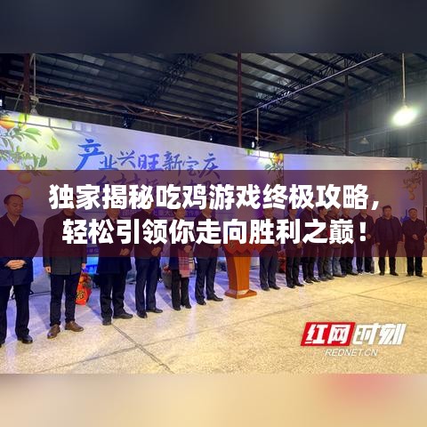 独家揭秘吃鸡游戏终极攻略，轻松引领你走向胜利之巅！