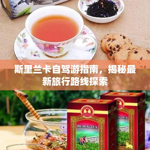 斯里兰卡自驾游指南，揭秘最新旅行路线探索