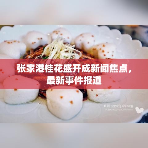 张家港桂花盛开成新闻焦点，最新事件报道