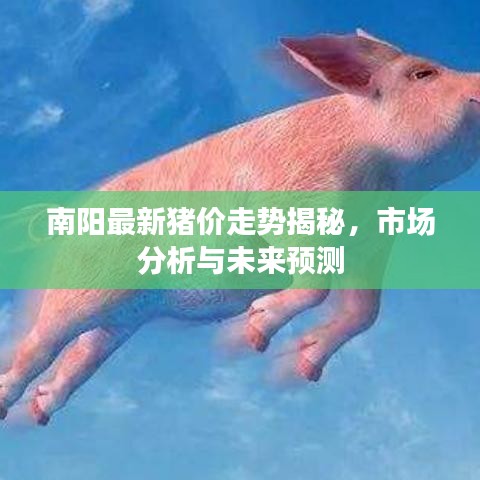 南阳最新猪价走势揭秘，市场分析与未来预测