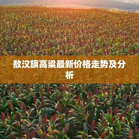 敖汉旗高粱最新价格走势及分析