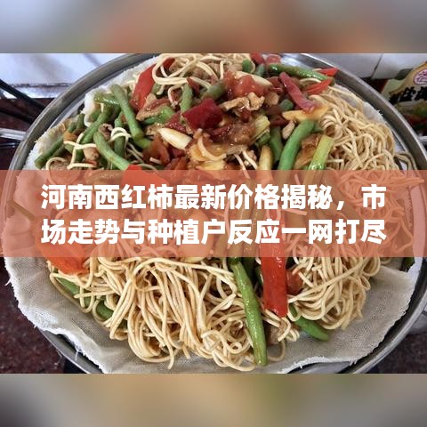 河南西红柿最新价格揭秘，市场走势与种植户反应一网打尽