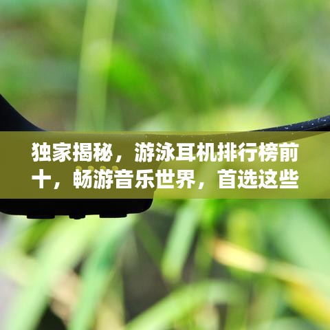 独家揭秘，游泳耳机排行榜前十，畅游音乐世界，首选这些神器！