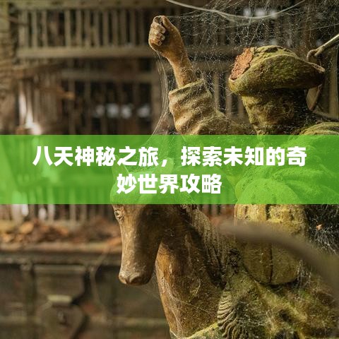八天神秘之旅，探索未知的奇妙世界攻略