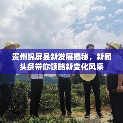 贵州锦屏县新发展揭秘，新闻头条带你领略新变化风采