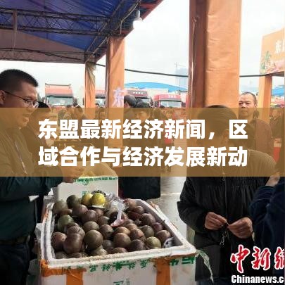 东盟最新经济新闻，区域合作与经济发展新动向揭秘