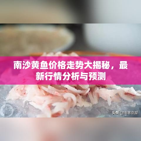 南沙黄鱼价格走势大揭秘，最新行情分析与预测