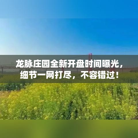 龙脉庄园全新开盘时间曝光，细节一网打尽，不容错过！