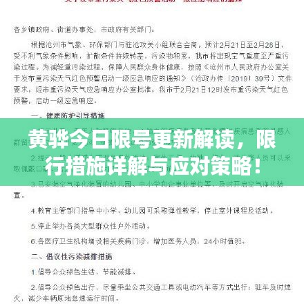 黄骅今日限号更新解读，限行措施详解与应对策略！