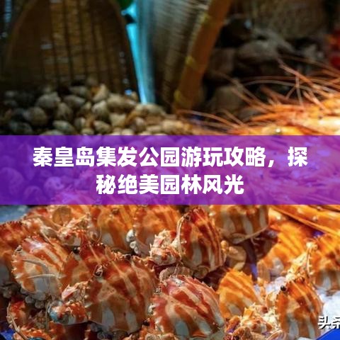秦皇岛集发公园游玩攻略，探秘绝美园林风光