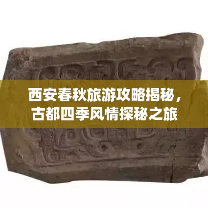 西安春秋旅游攻略揭秘，古都四季风情探秘之旅