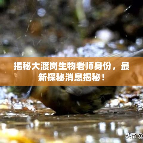 揭秘大渡岗生物老师身份，最新探秘消息揭秘！