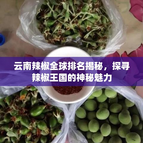 云南辣椒全球排名揭秘，探寻辣椒王国的神秘魅力