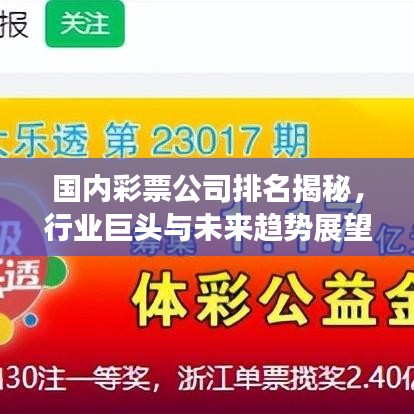 国内彩票公司排名揭秘，行业巨头与未来趋势展望