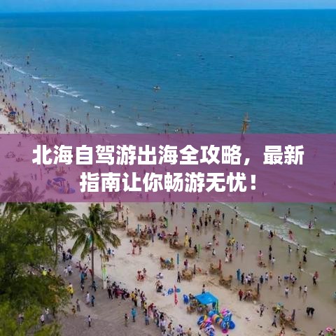 2025年6月19日 第45页
