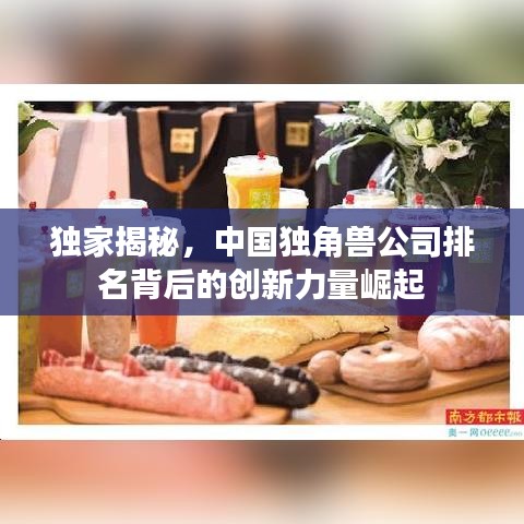 独家揭秘，中国独角兽公司排名背后的创新力量崛起