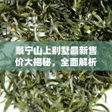 2025年6月19日 第21页