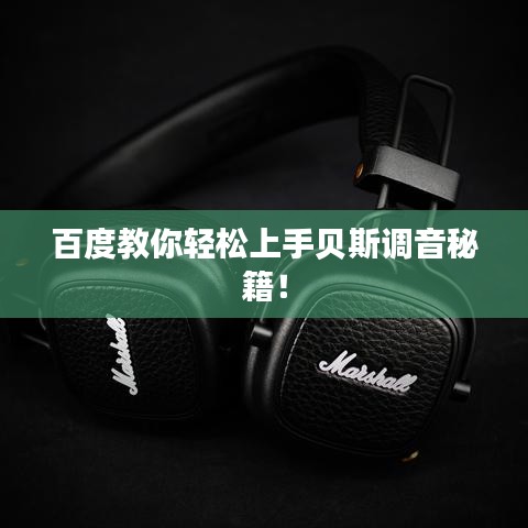 百度教你轻松上手贝斯调音秘籍！