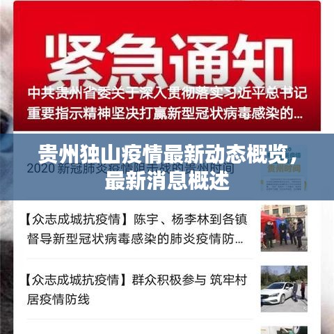 贵州独山疫情最新动态概览，最新消息概述