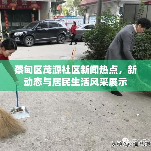 蔡甸区茂源社区新闻热点，新动态与居民生活风采展示
