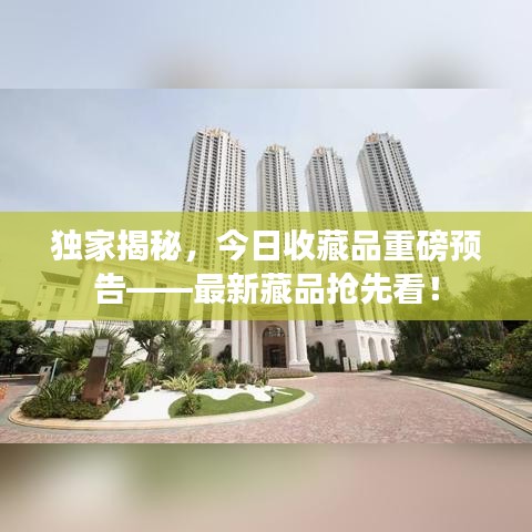 独家揭秘，今日收藏品重磅预告——最新藏品抢先看！