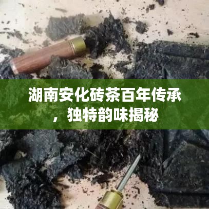 湖南安化砖茶百年传承，独特韵味揭秘