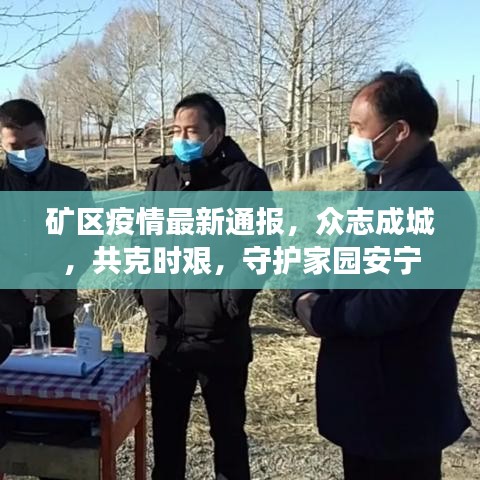 矿区疫情最新通报，众志成城，共克时艰，守护家园安宁